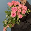 3 кустовые розовые розы Одилия 60 см